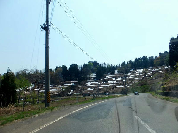 国道253号を行く