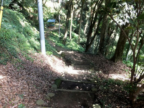 南城から北に続く小径