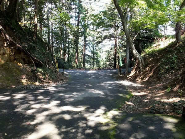 長門丸と金ノ丸の間の堀切？
