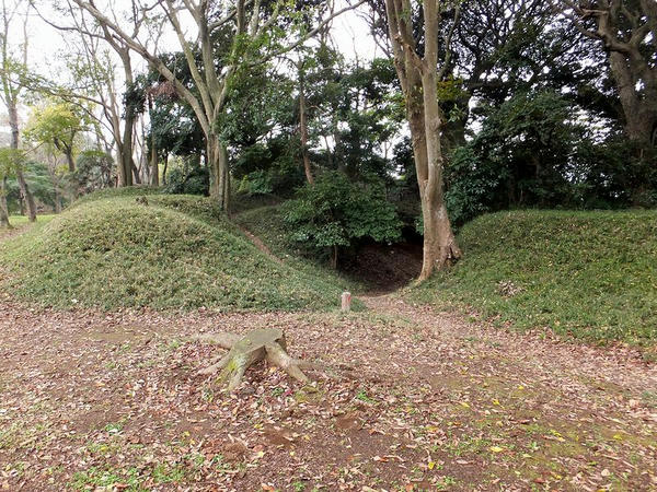 三の丸の土塁(2)