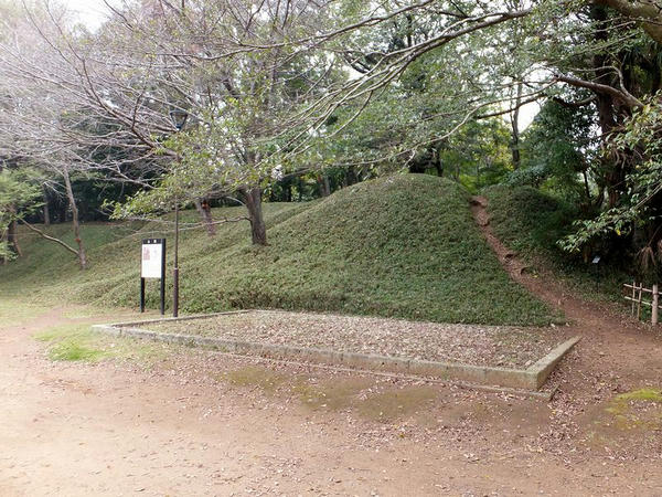 本丸の土塁