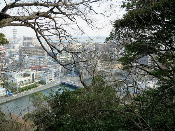 東二の丸から見た吉野川河口方向（手前は助任川）