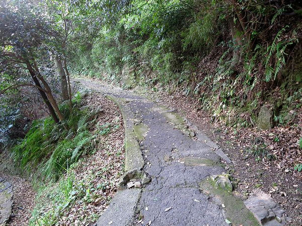 駐車場方向へと降りる小径