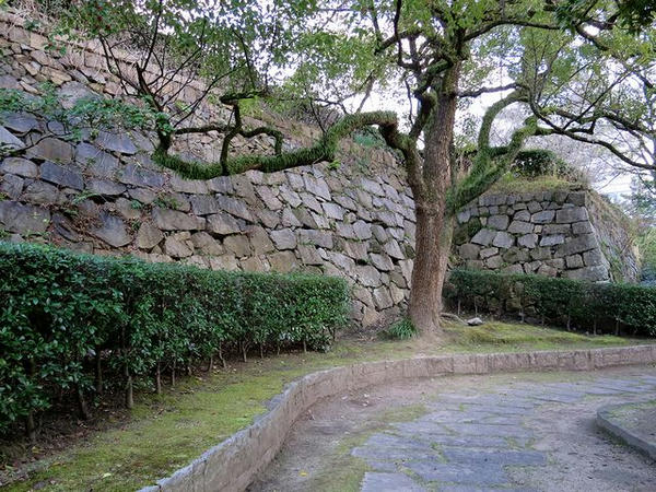 本丸西側の石垣その1