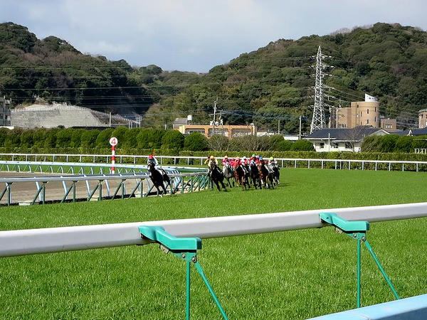 同Rで第4コーナーをコーナリングする各馬