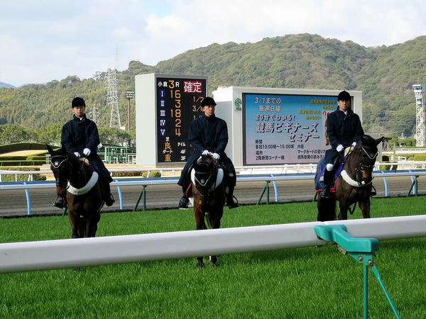 誘導馬と着順掲示板、ターフビジョン