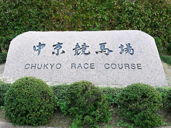 中京競馬場の石碑