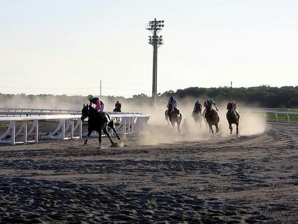 第6レースで内回り最終コースをコーナリングする競走馬