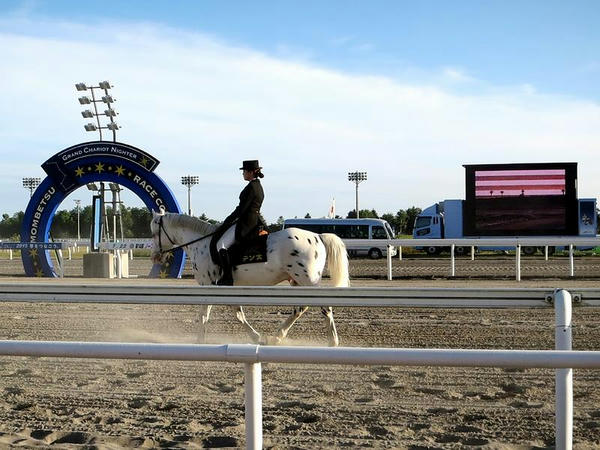 ゴール板と大型モニターと誘導馬のテン太さん