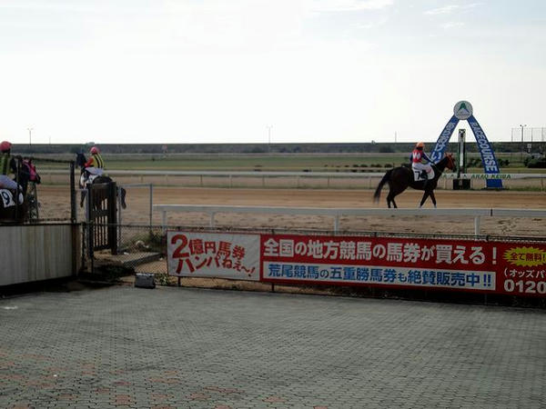 馬場入りする競走馬