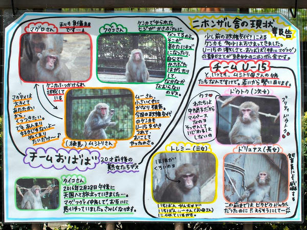 猿舎の現状の説明