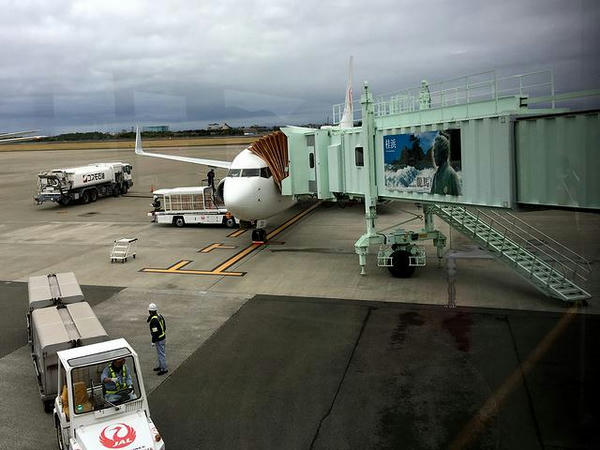 高知龍馬空港に到着したJAL491便
