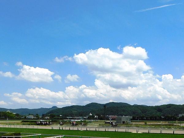 夏の雲とダートコースを走る競走馬