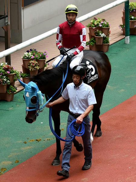 武豊騎手とオジュウチョウサン号