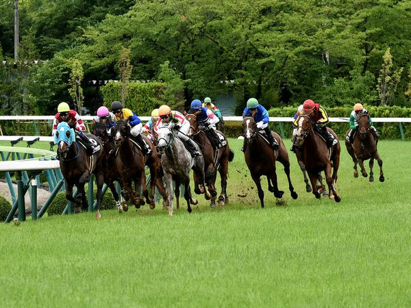 最終コーナーを回る各馬(2)