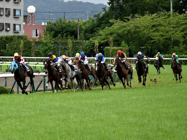 最終コーナーを回る各馬(3)