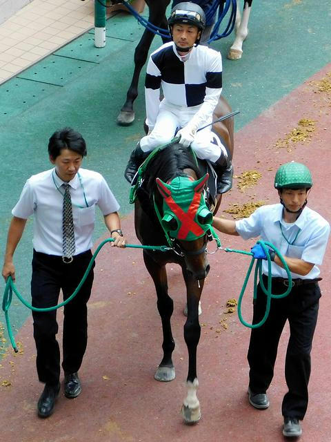 岩手（水沢）所属の菅原俊吏騎手（第11レース）