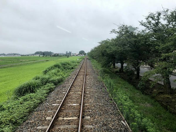 北真岡駅－西田井駅間（桜・菜の花街道）