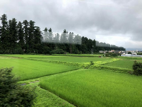 明神駅－下今市駅間