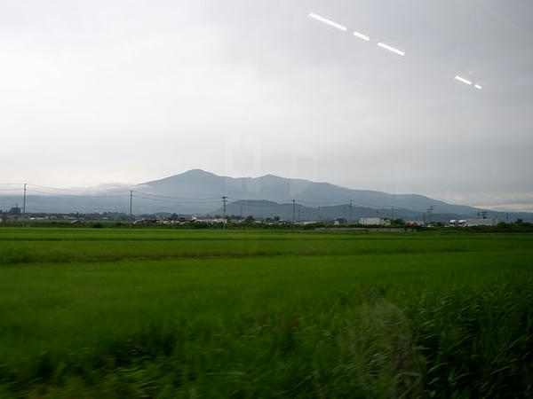 本宮駅－杉田駅間