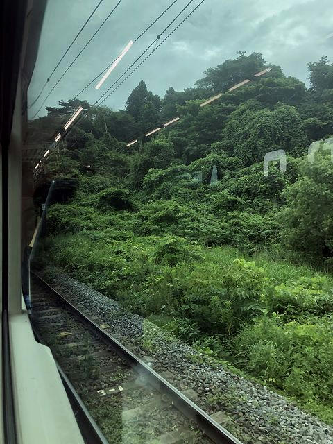 仙石線・東北本線接続線を走行