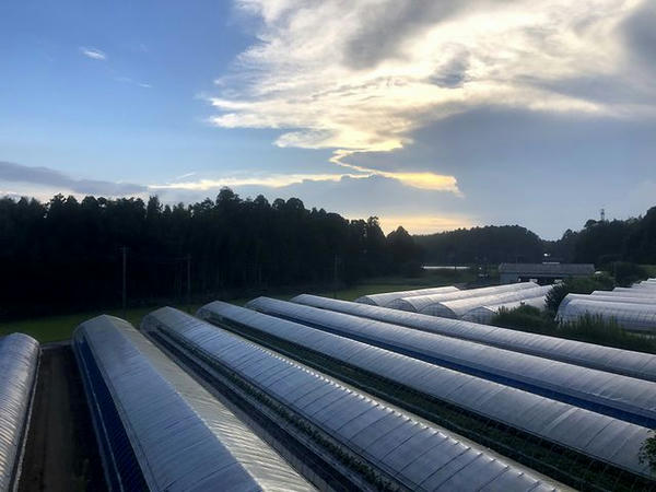 徳宿駅－鹿島旭駅間