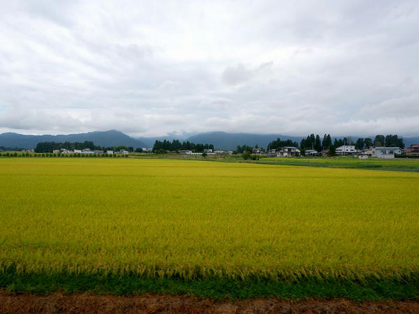 時庭駅－南長井駅間