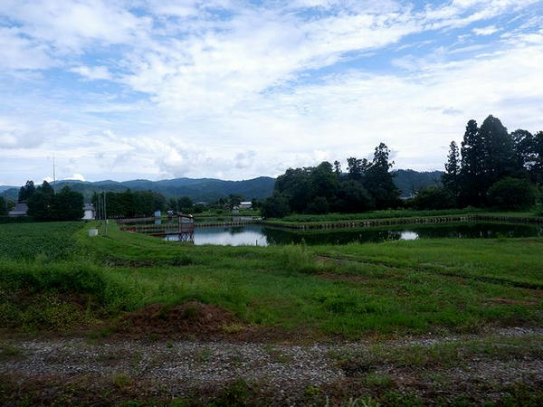 羽前成田駅－あやめ公園駅間