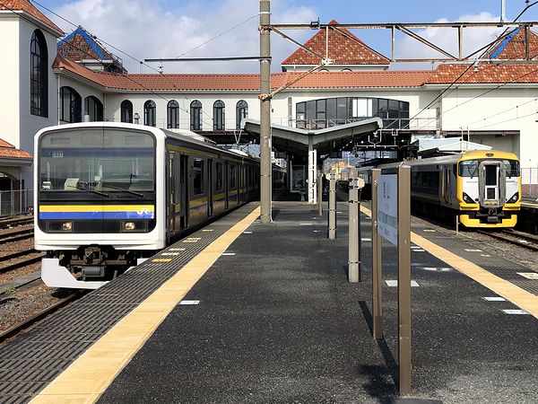 館山駅に到着した特急新宿さざなみ3号と停車中の安房鴨川行き普通列車