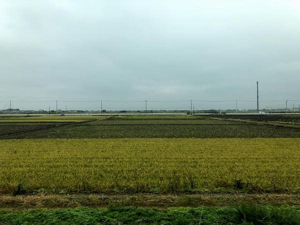 袖ヶ浦駅－巌根駅間