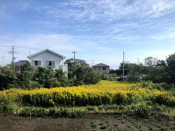 千歳駅－南三原駅間
