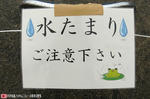 水たまり