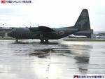 C-130H@緑