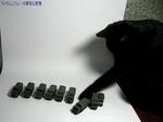 襲撃1