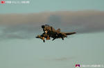 F-4EJ #409 その5