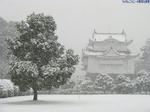 東南隅櫓-2