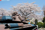 花より戦車?