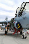 NF503-5