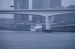晴海-21