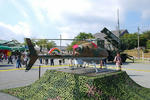 2010今津2-13