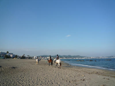 P1000332.jpg