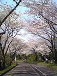 090405mizumoto2.JPG