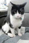 20090417k0000e040061000p_size5.jpg