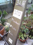 090420-1.JPG