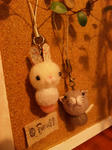 yomo-st20100210.jpg