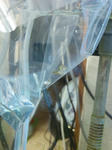 20100427kotubu.JPG