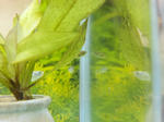 20100527.JPG