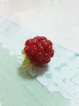 20100611berry.JPG