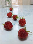 20100614berry2.JPG