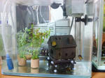 20100817chibi.JPG